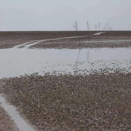 6 Person In Ribe-by Traum Holiday home