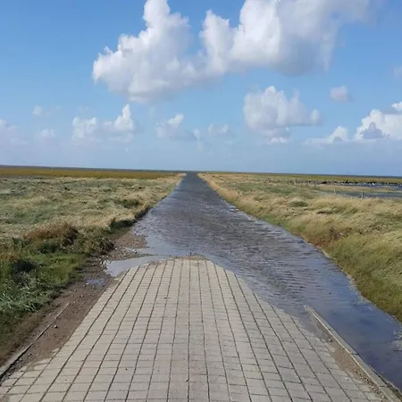 Сasa de vacaciones 6 Person In Ribe-by Traum *