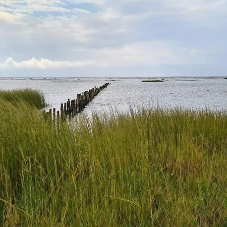 6 Person In Ribe-by Traum Сasa de vacaciones