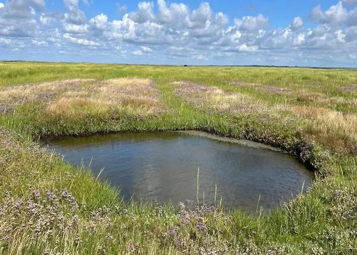 6 Person In Ribe-by Traum *