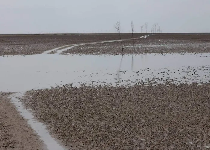 6 Person In Ribe-by Traum Feriehus