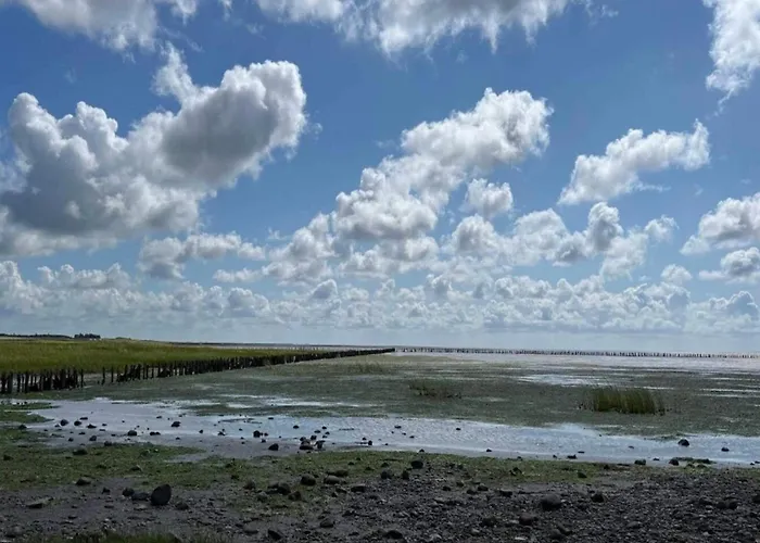 Feriehus 6 Person In Ribe-by Traum