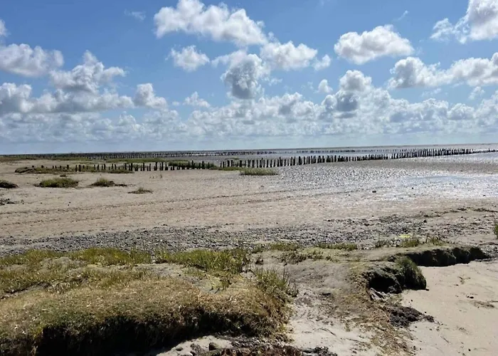 6 Person In Ribe-by Traum