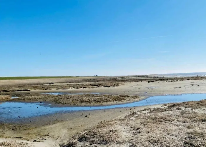 Feriehus 6 Person In Ribe-by Traum *