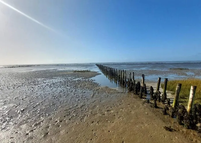 Feriehus 6 Person In Ribe-by Traum Ribe