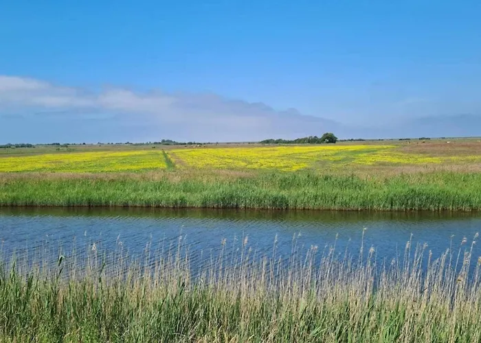 6 Person In Ribe-by Traum * Ribe