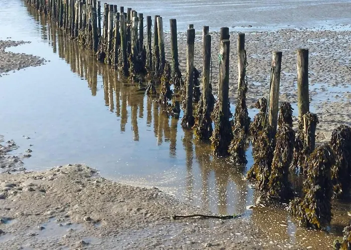 Feriehus 6 Person In Ribe-by Traum Ribe