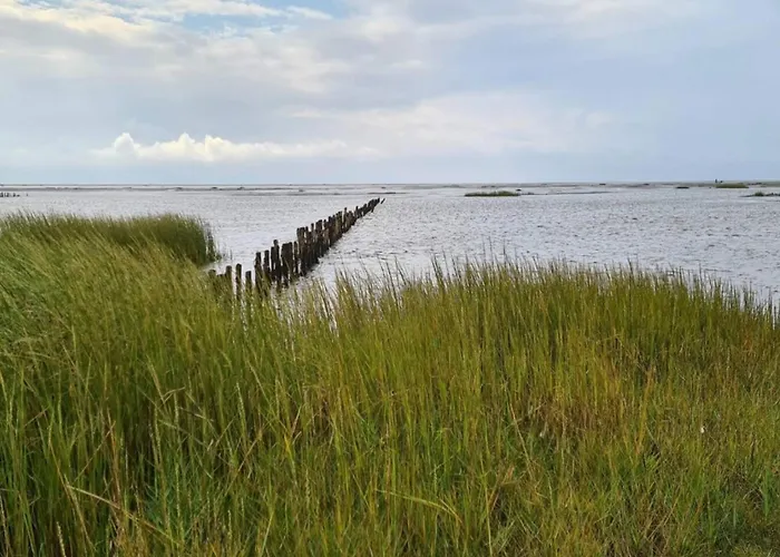 6 Person In Ribe-by Traum Feriehus